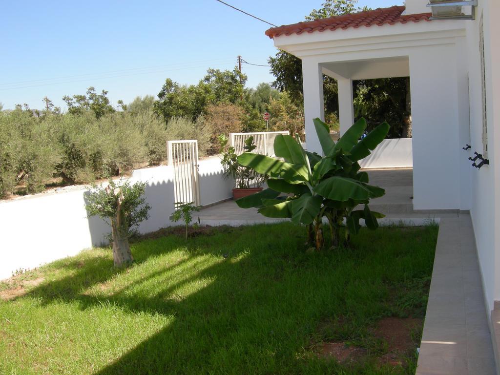 Villa Despoina Paphos Eksteriør bilde