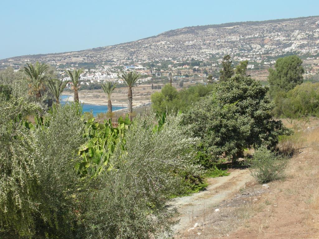 Villa Despoina Paphos Eksteriør bilde