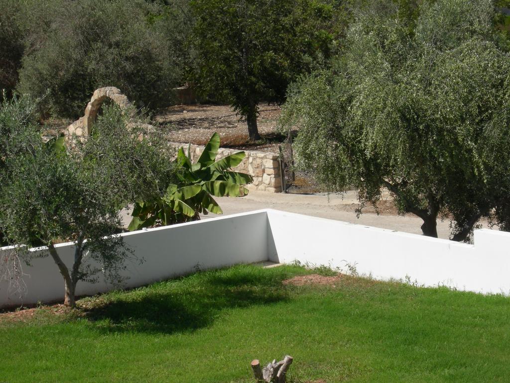 Villa Despoina Paphos Eksteriør bilde