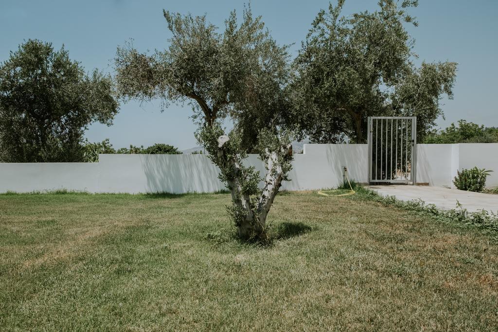 Villa Despoina Paphos Eksteriør bilde